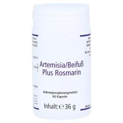 Артемизинин 150 мг капс. 60шт в Оренбурге и области фото